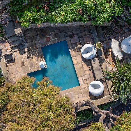 Phoenix Lodge And Waterside Accommodation Knysna Exteriör bild